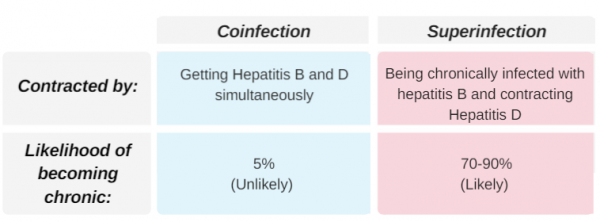 FAQ » Hepatitis B Foundation