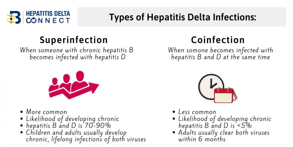 Testing And Diagnosis » Hepatitis B Foundation