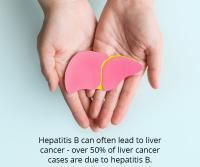 Intro To Hep B Liver Cancer Slide 11