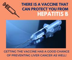 The HBV Vaccine Can Prevent Liver Cancer