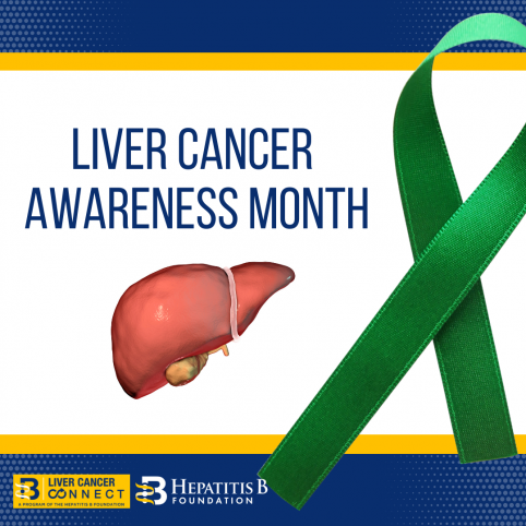 Welcome to our Liver Cancer Connect Program » Hepatitis B Foundation