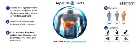 Copy of Hepatitis D Facts Graphic2