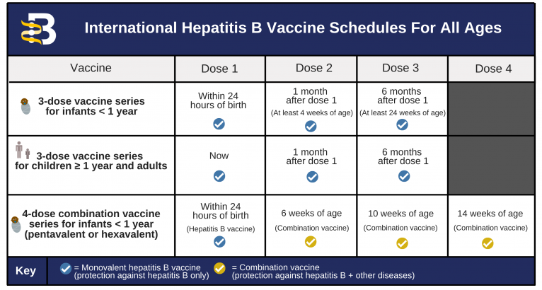 hepatitis-b-vaccine-booster-dose-schedule-for-adults-craftboombang