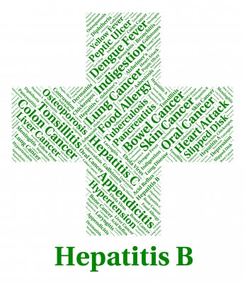 Hepatitis B - Hepatitis B Foundation