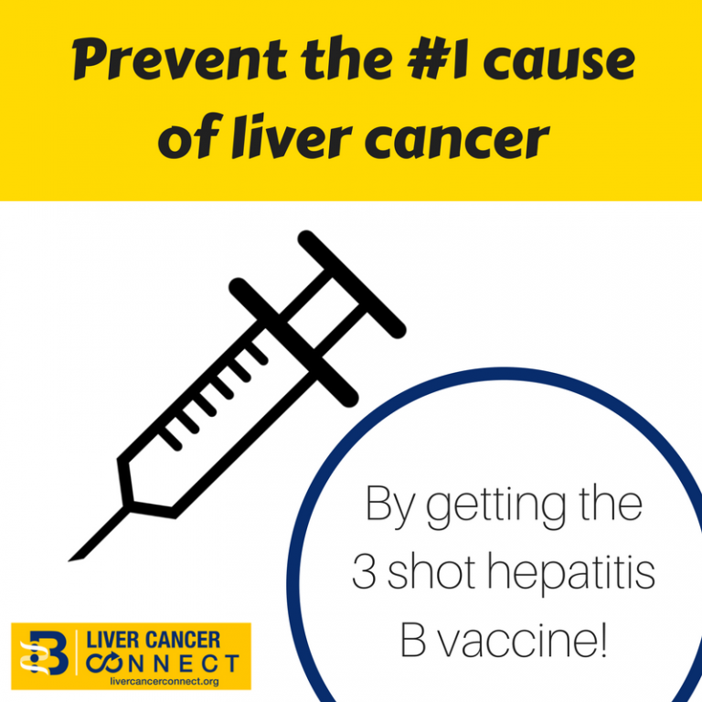 World Immunization Day! Hepatitis B Vaccine - Hepatitis B Foundation