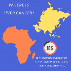 The Link Between Hepatitis B And Liver Cancer - Hepatitis B Foundation