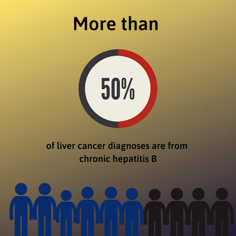 The Link Between Hepatitis B And Liver Cancer - Hepatitis B Foundation