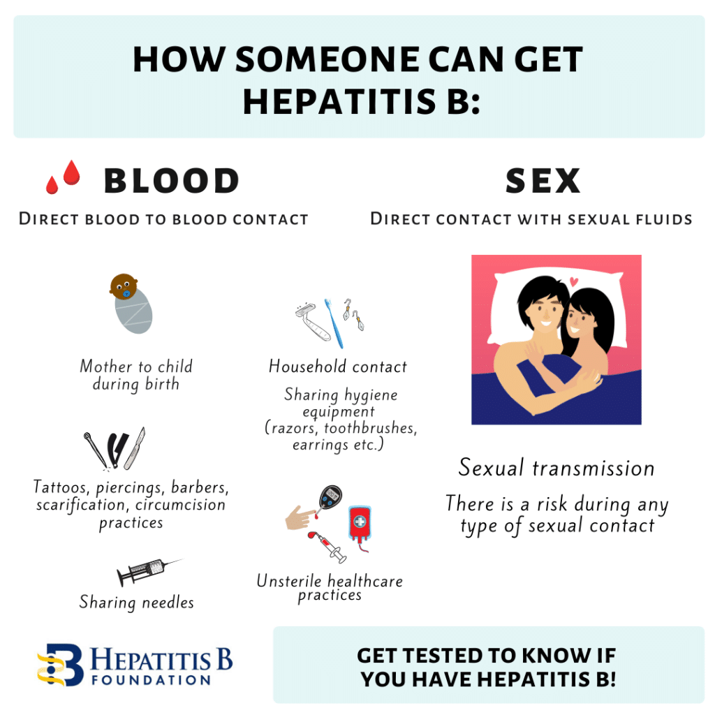 Hepatitis B Transmission For Those Newly Diagnosed - Hepatitis B Foundation