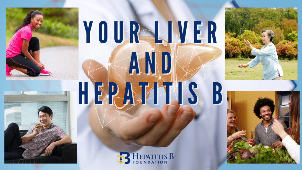 Liver Cancer Archives - Hepatitis B Foundation