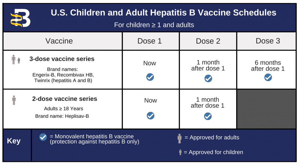 Hepatitis B Foundation Baruch S Blumberg Institute