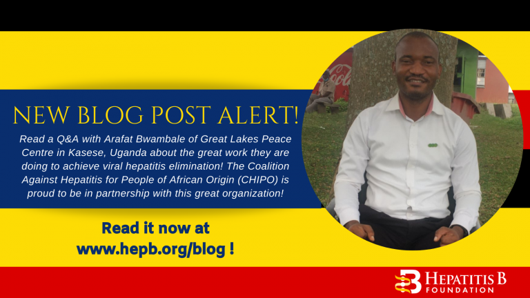 CHIPO Partner Highlight: Great Lakes Peace Centre - Hepatitis B Foundation