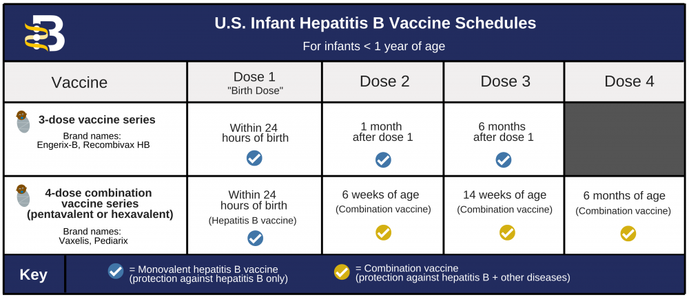 Infant Hepatitis B Vaccine Schedules Chart High Res for Website 10