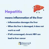 INSTA Intro to Hep B 13