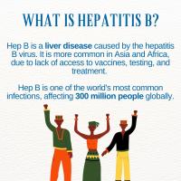 What is Hep B