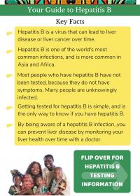 Your Guide to Hep B English