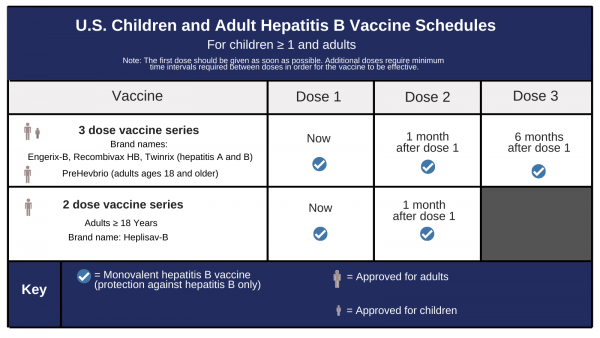 Hep B Vaccine Schedule Cdc