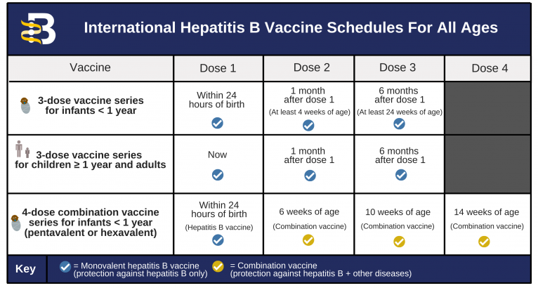 Hepatitis B Foundation Hepatitis B Vaccine Schedules